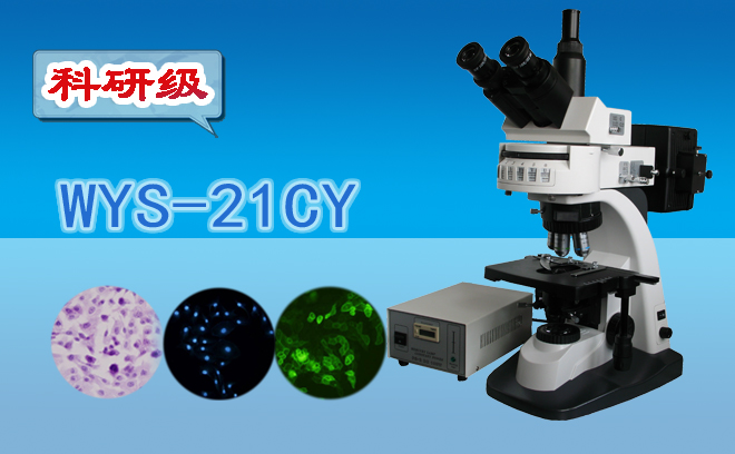 熒光顯微鏡技術(shù)包括哪幾種？